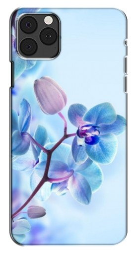 Чехол с печатью «Голубые орхидеи»  для iPhone 12 Pro Max