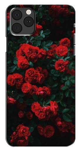 Чехол с картинкой «Красные розы» для iPhone 12 Pro Max