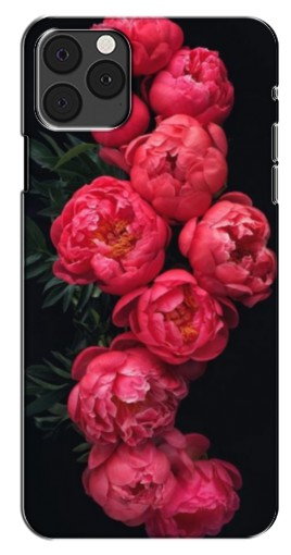 Чехол с печатью «Яркие пионы»  для iPhone 12 Pro Max