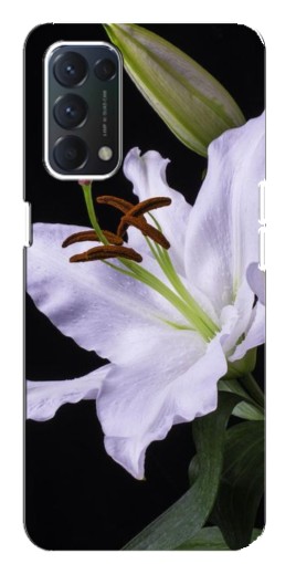 Чехол с печатью "Большая лилия" для Oppo Find X3 Lite