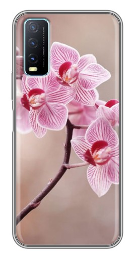 Чехол с принтом "Веточка орхидеи" для ViVO Y20