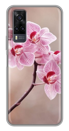 Чехол с печатью "Веточка орхидеи" для ViVO Y31