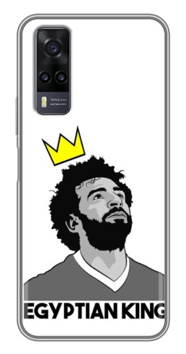 Чехол с печатью "Египетский Король" для ViVO Y31