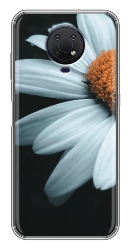 Чехол с принтом "Белая ромашка" для Nokia G10