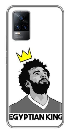 Чехол с печатью «Египетский Король»  для Vivo V21E