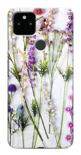 Чехол с печатью "Фон полевых цветов" для Google Pixel 5