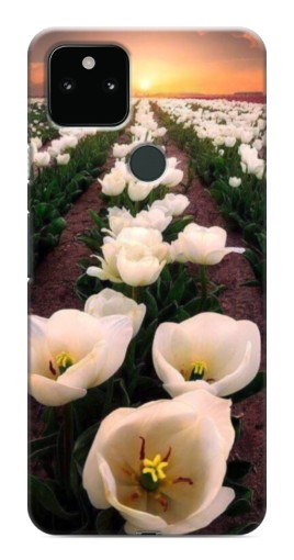 Чехол с картинкой "Поле тульпанов " для Google Pixel 5