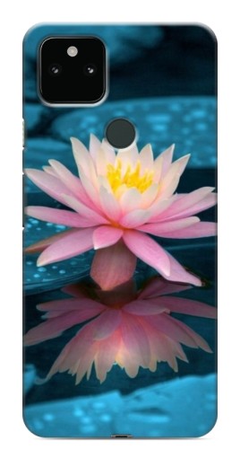 Чехол с картинкой "Водяная лилия" для Google Pixel 5