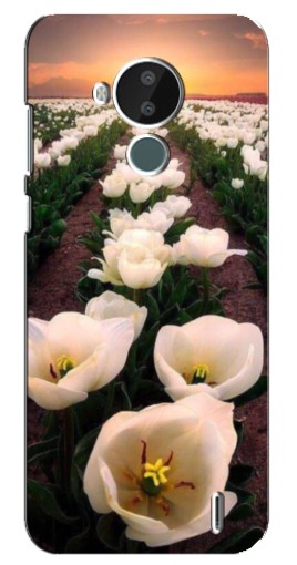 Чехол с принтом "Поле тульпанов " для Nokia C30