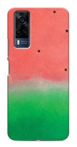 Чехол с картинкой "Дизайн арбуза" для VIVO Y53S