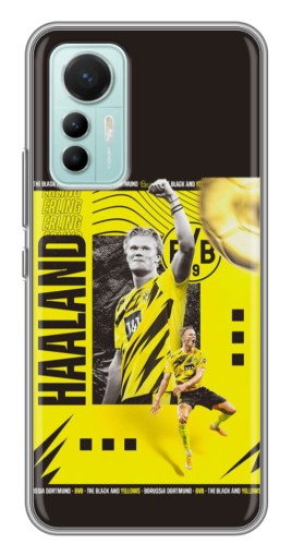 Чехол с картинкой "Golden Haaland" для Xiaomi Mi 12 Lite