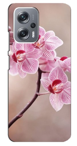 Чехол с печатью "Веточка орхидеи" для Xiaomi Redmi Note 12 Pro Plus