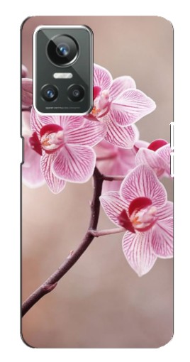 Силиконовый чехол с изображением "Веточка орхидеи" для Realme GT Neo 3
