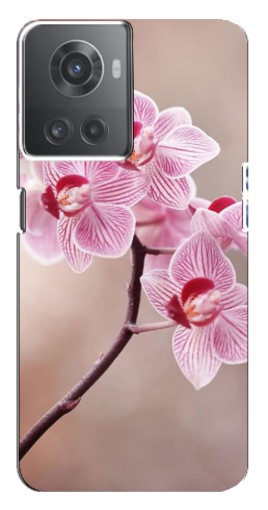 Чехол с печатью "Веточка орхидеи" для OnePlus ACE (10R)