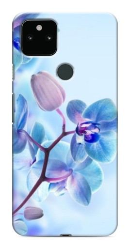 Чехол с принтом "Голубые орхидеи" для Google Pixel 5a 5G