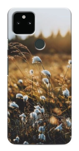 Чехол с печатью "Нежные полевые цветы" для Google Pixel 5a 5G