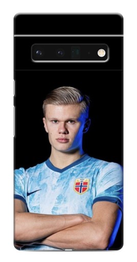 Чехол с печатью "Холанд Норвежец" для Google Pixel 6 Pro