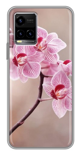 Чехол с печатью "Веточка орхидеи" для Vivo Y33s