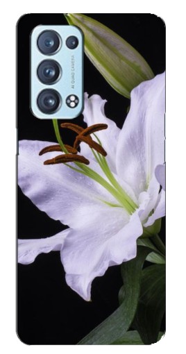 Чехол с картинкой "Большая лилия" для Oppo Reno6 Pro 5G