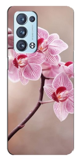 Чехол с печатью "Веточка орхидеи" для Oppo Reno6 Pro Plus 5G