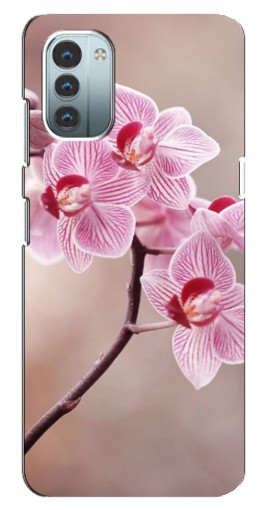 Чехол с картинкой "Веточка орхидеи" для Nokia G21