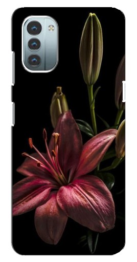 Чехол с принтом "Красная лилия " для Nokia G11