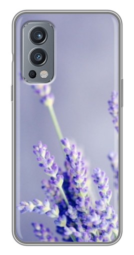 Чехол с картинкой "Лаванда вблизи" для OnePlus Nord 2
