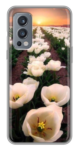 Чехол с принтом "Поле тульпанов " для OnePlus Nord 2