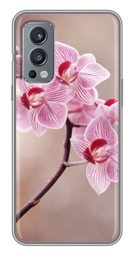 Чехол с печатью "Веточка орхидеи" для OnePlus Nord 2
