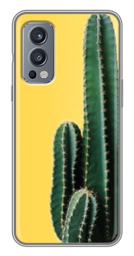 Чехол с принтом "Яркий кактус" для OnePlus Nord 2