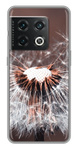 Чехол с принтом "Одуванчик вблизи" для OnePlus 10 Pro