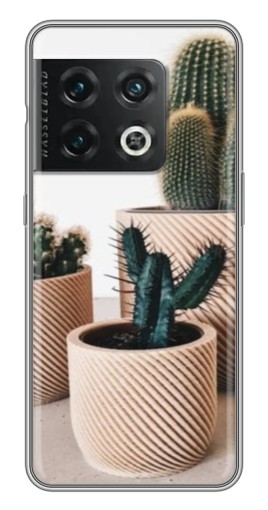Чехол с картинкой "стильные кактусы" для OnePlus 10 Pro
