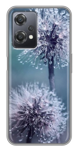 Чехол с картинкой "Одуванчик с капельками" для OnePlus Nord CE 2 (5G) (IV2201)