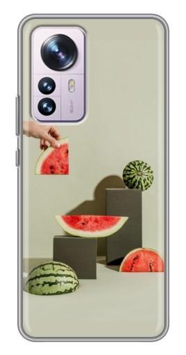 Чехол с печатью "Арт Арбузы" для Xiaomi 12 / 12X