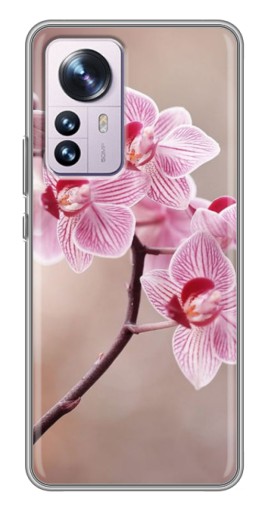 Чехол с печатью "Веточка орхидеи" для Xiaomi 12 / 12X