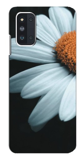Чехол с картинкой "Белая ромашка" для Samsung Galaxy F52 5G (E526)
