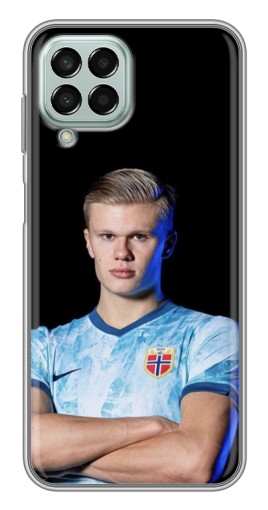 Силиконовый чехол с изображением "Холанд Норвежец" для Samsung Galaxy M33 (5G) (M336B)