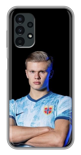 Силиконовый чехол с изображением "Холанд Норвежец" для Samsung Galaxy A13 (5G)