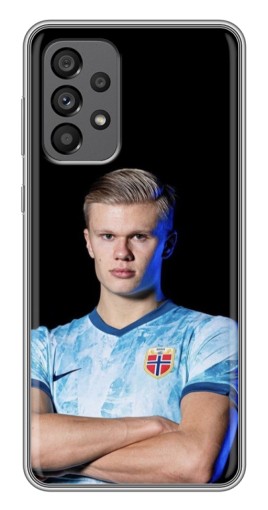 Силиконовый чехол с изображением "Холанд Норвежец" для Samsung Galaxy A73 (5G)