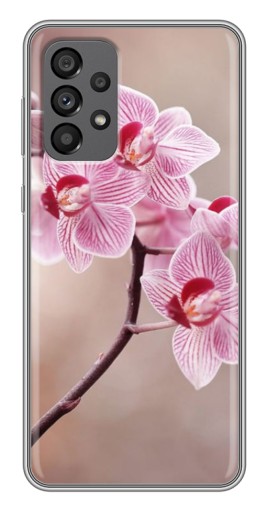 Чехол с принтом "Веточка орхидеи" для Samsung Galaxy A73 (5G)