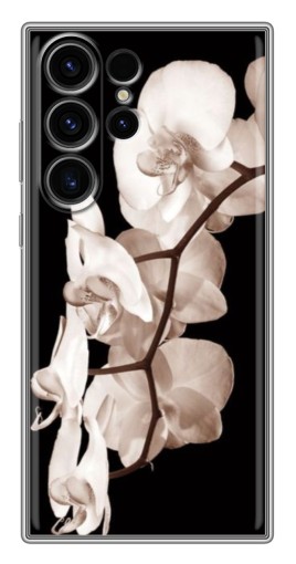 Чехол с картинкой "Черно-белая орхидея" для Samsung Galaxy S22 Ultra