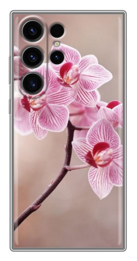 Чехол с печатью "Веточка орхидеи" для Samsung Galaxy S22 Ultra