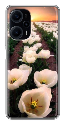 Чехол с печатью "Поле тульпанов " для Xiaomi POCO F5