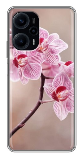 Силиконовый чехол с изображением "Веточка орхидеи" для Xiaomi POCO F5