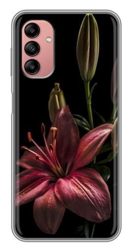 Чехол с картинкой "Красная лилия " для Samsung Galaxy A04s