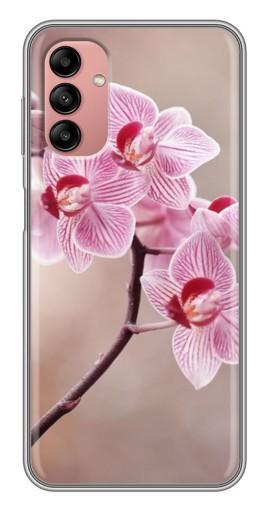 Чехол с печатью "Веточка орхидеи" для Samsung Galaxy A04s