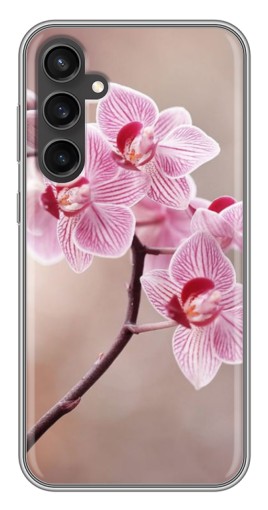 Чехол с картинкой "Веточка орхидеи" для Samsung Galaxy S23 FE