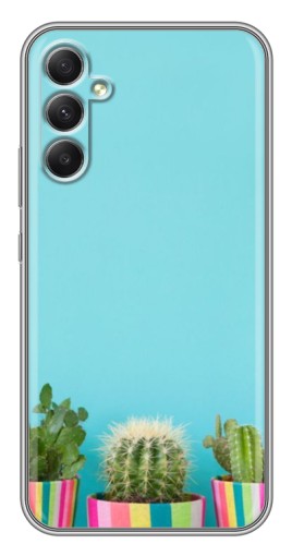 Силиконовый чехол с изображением "Маленькие кактусы" для Samsung Galaxy A34