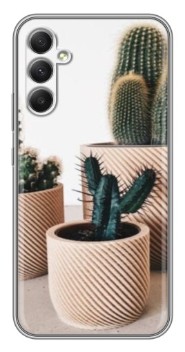 Силиконовый чехол с изображением "стильные кактусы" для Samsung Galaxy A34