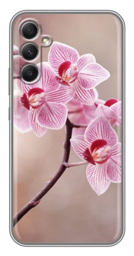 Чехол с картинкой "Веточка орхидеи" для Samsung Galaxy A34